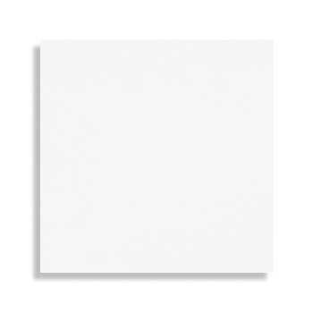 Панель ПВХ 250*2700 (9мм) Белые Матовая Р